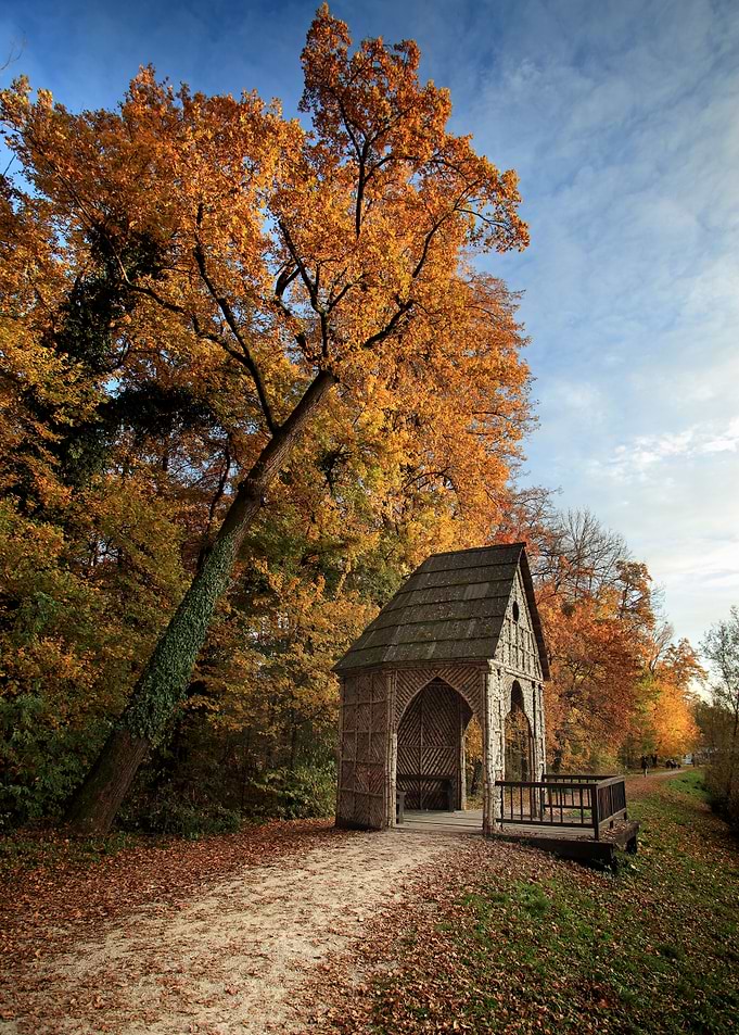 Maksimir