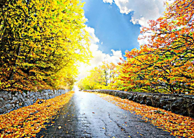 Autumn