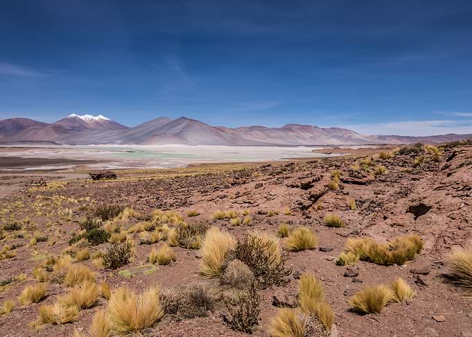 Salar Aguas Calientes
