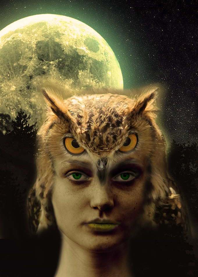 The Owl