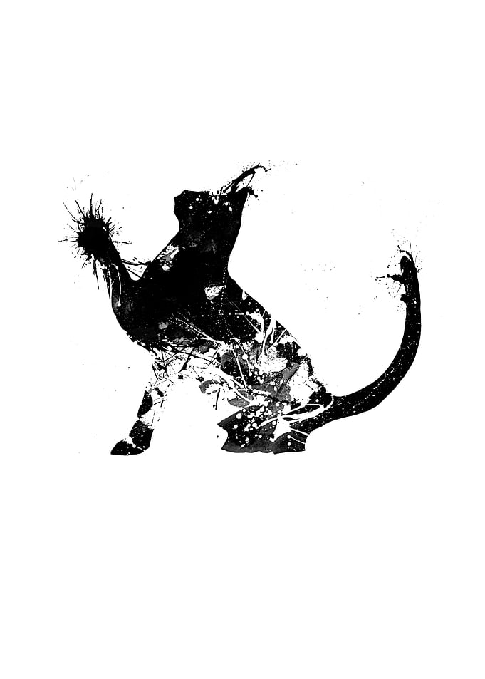 Abstract Cat 20