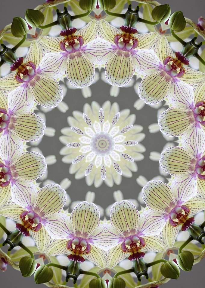Mandala 2