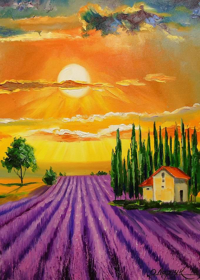 Lavender field at sunset
