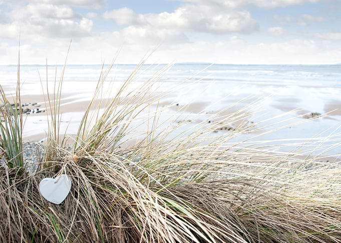 lone blue wooden heart