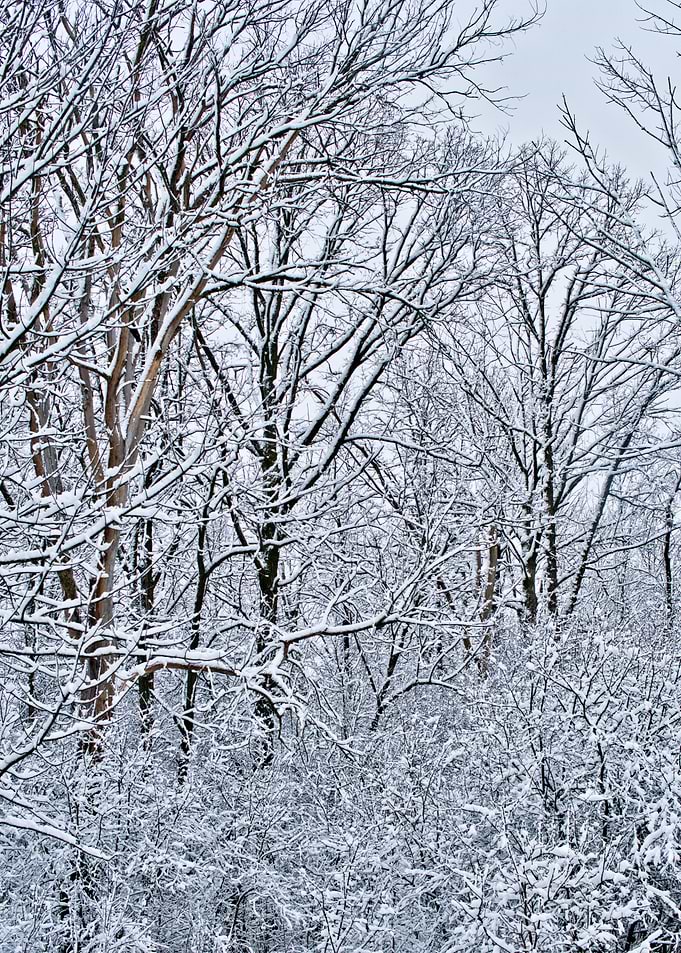 winter in march
