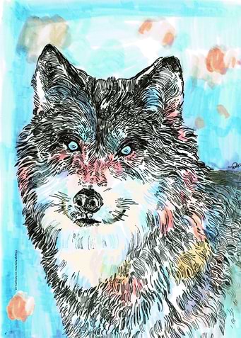Wolf 1