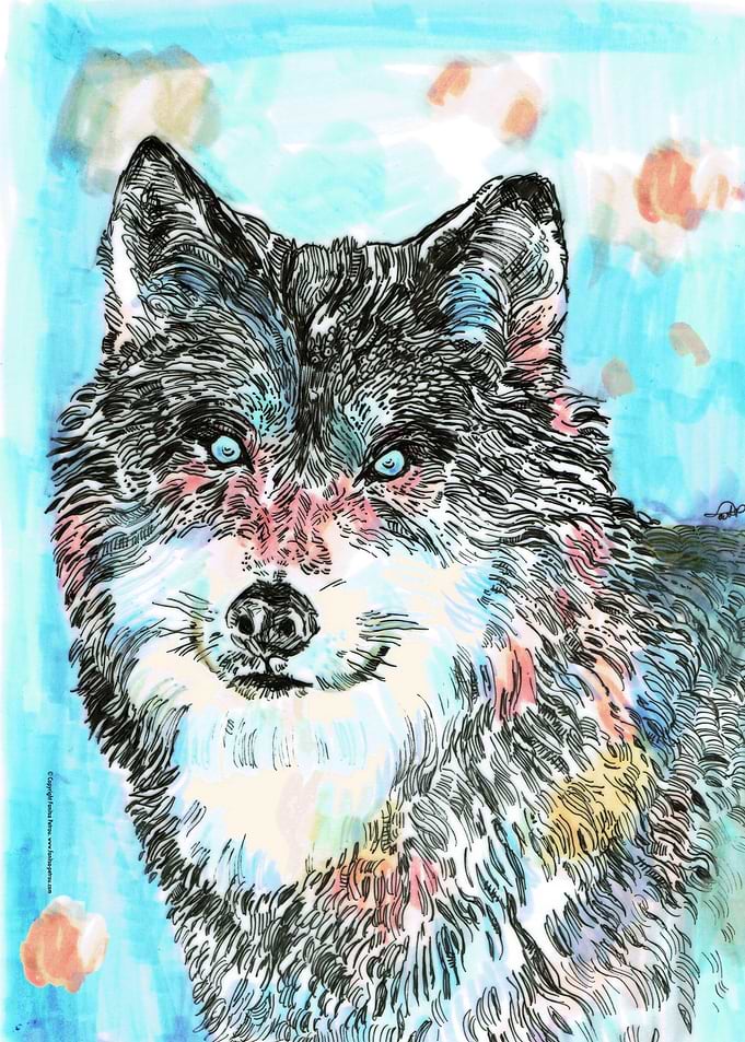 Wolf 1