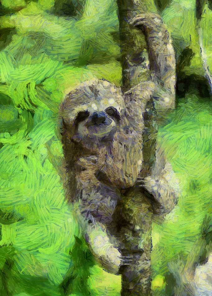 Starry Night Sloth Art