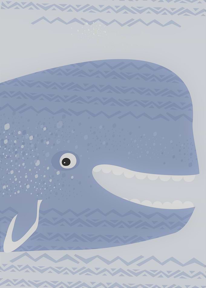 sea whale