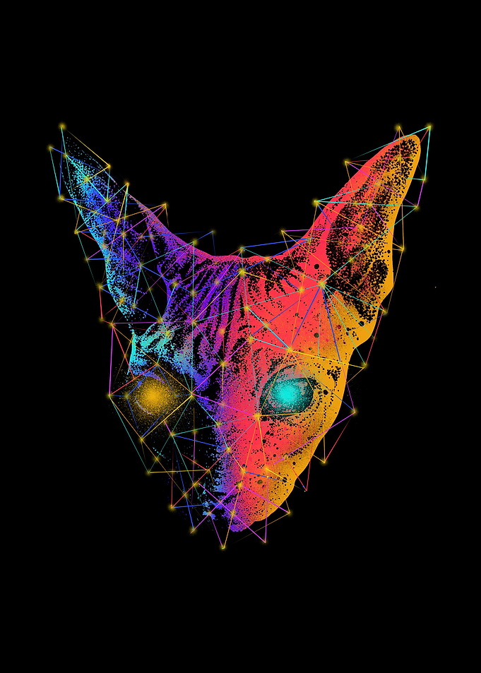 Geometry Sphynx Cat