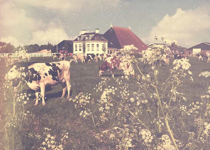 Boerderij