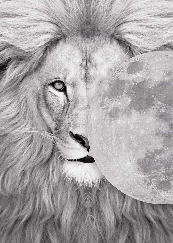 white lion moon poster