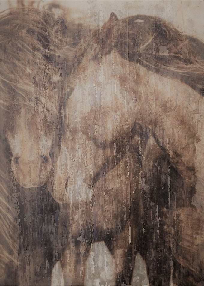 loving horses