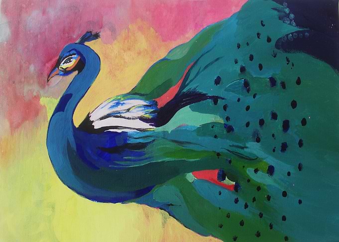 The Peacock 2