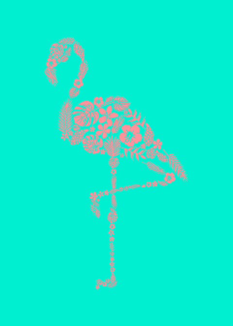 Flamingo Plant