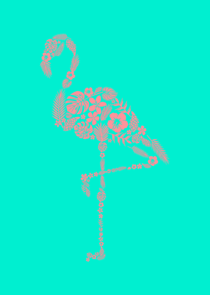 Flamingo Plant