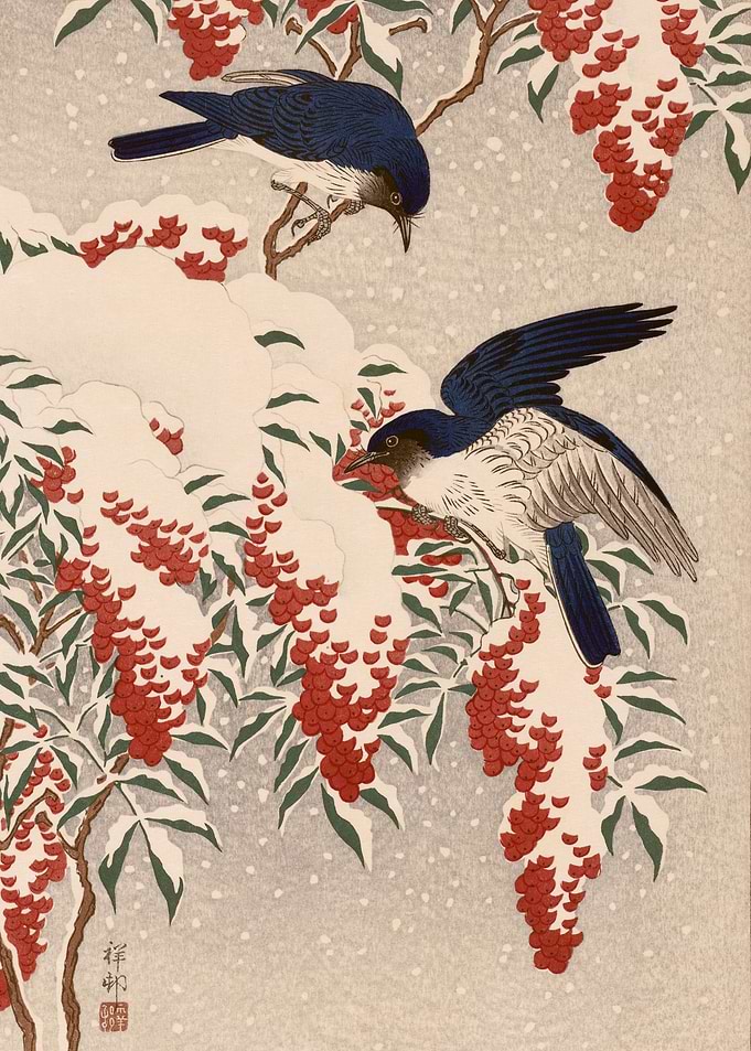 Flycatchers on a Nandina
