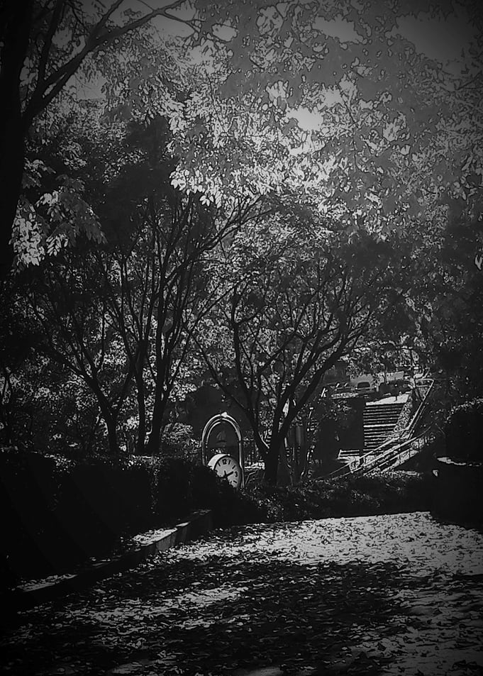 Black and White Park