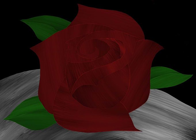Beautiful Rose