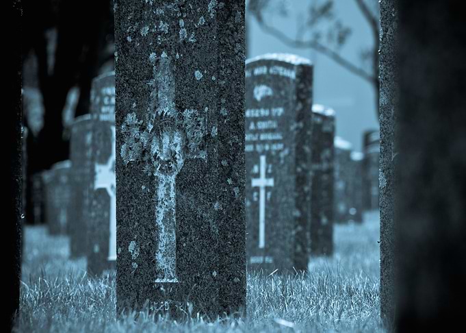 Forest of the Dead