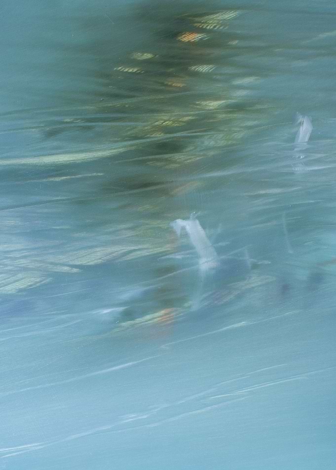 Im Wasser 08