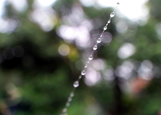 Droplets 103