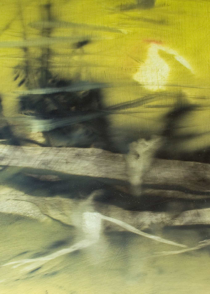 Im Wasser 07