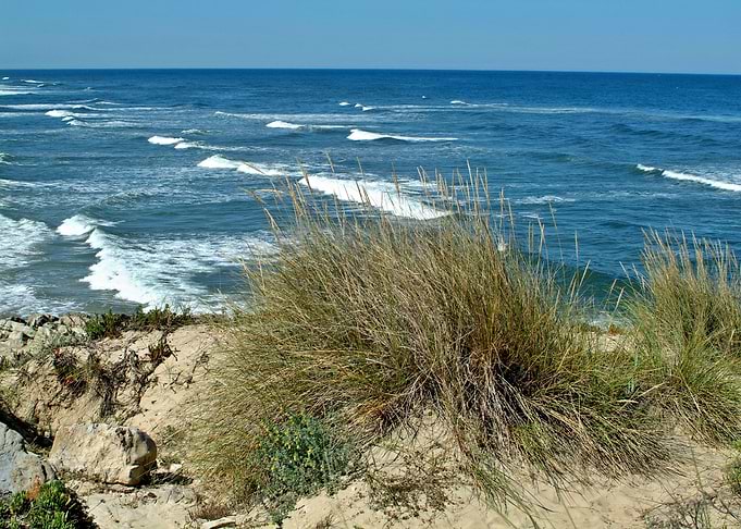 West Coast dunes