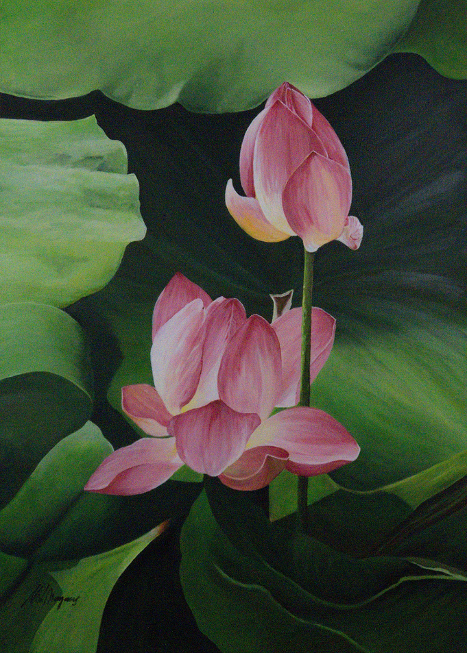 Lotus flower