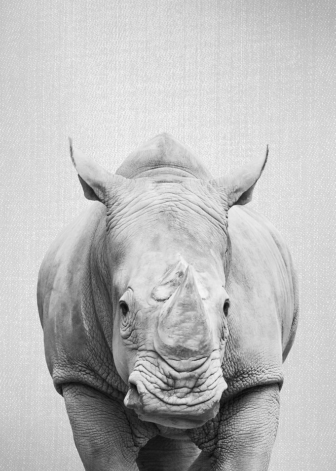 Rhino BW