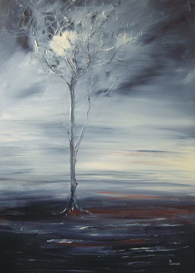 Moon Shadow
