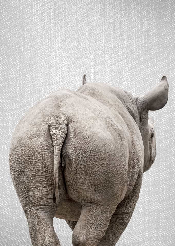 Rhino Tail Colorful