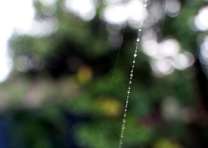 Droplets 104