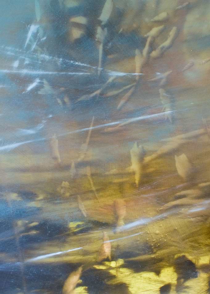 Im Wasser 06