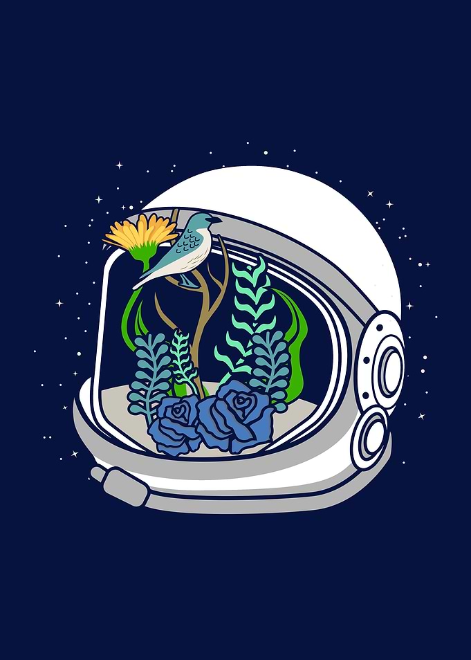 Astro Flowers