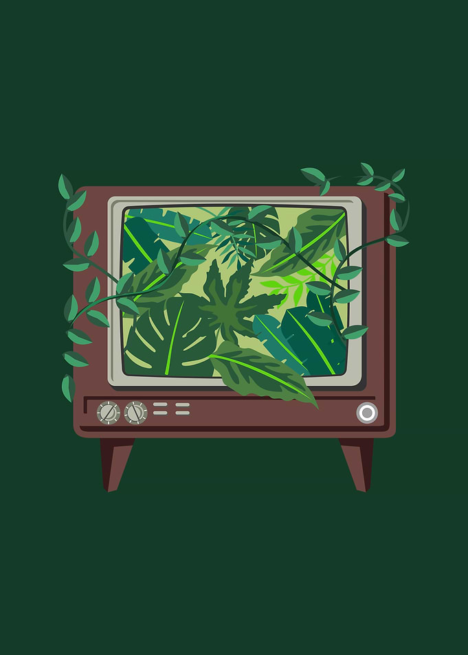 TV Nature
