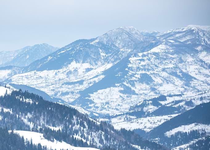 Winter Landscape