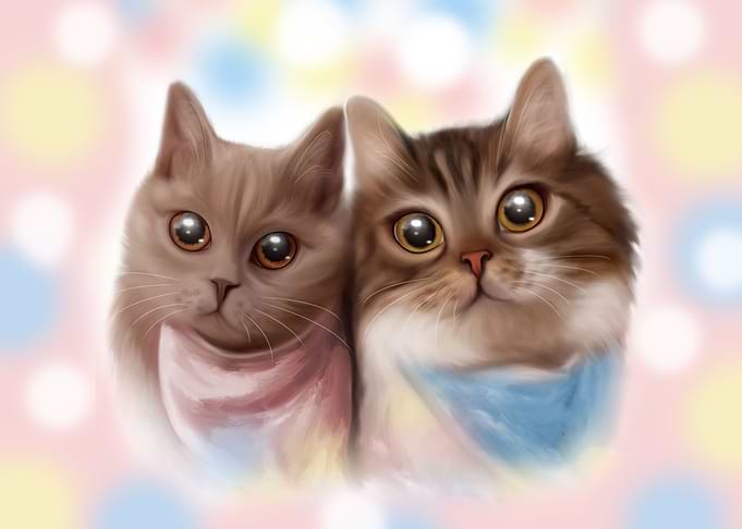 Happy together cats
