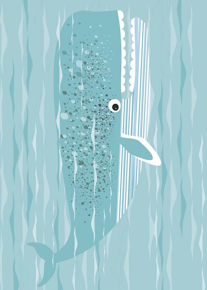 whale Poppo