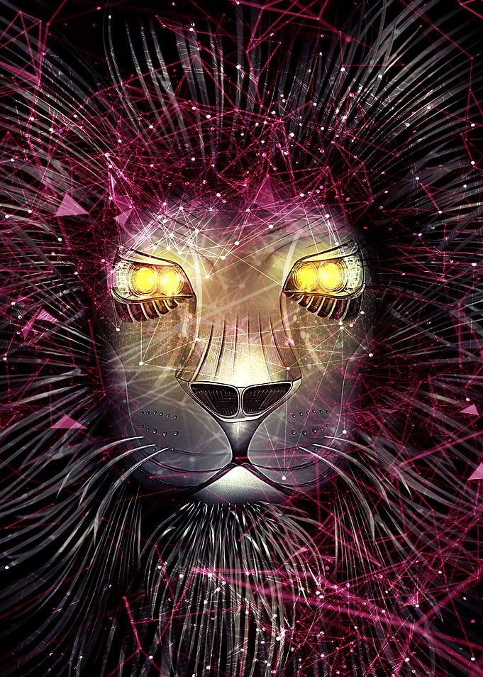 Wild King
