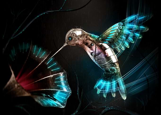 A Cyborg Nature