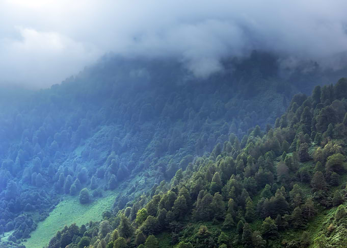 Georgia Landscape