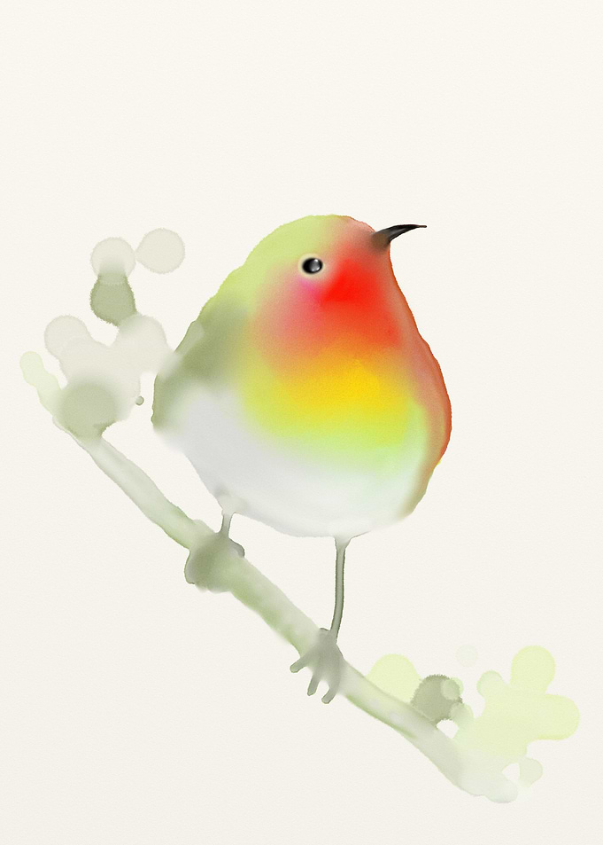 little bird