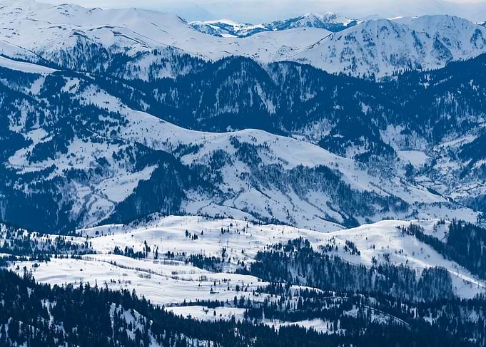Winter Landscape