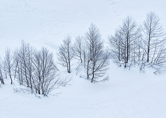 Winter Landscape