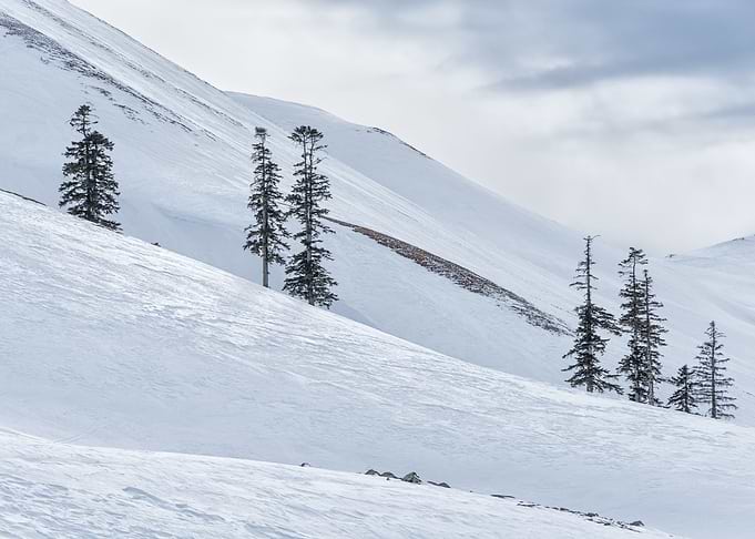 Winter Landscape