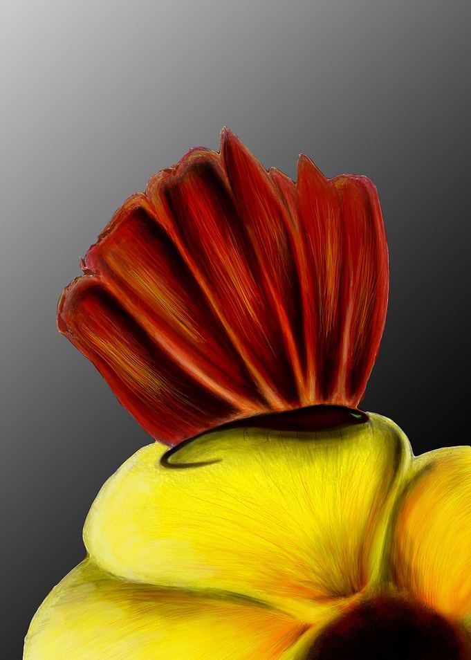 The Fire Fly
