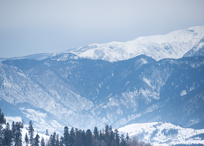 Winter Landscape