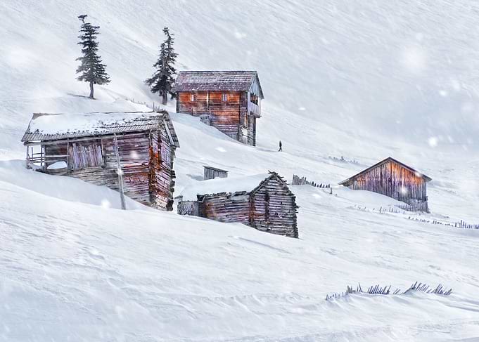 Winter Landscape
