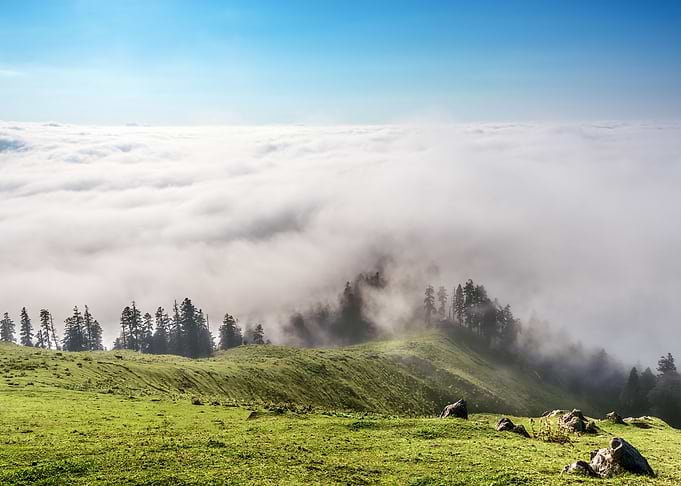 Above the clouds